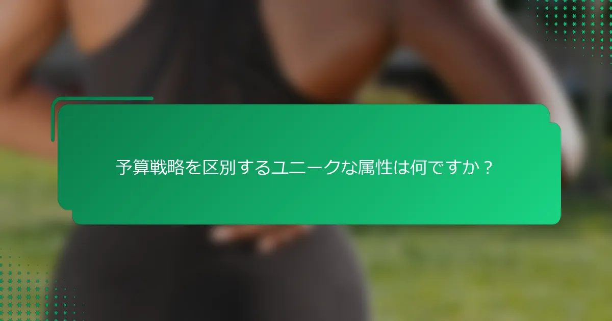予算戦略を区別するユニークな属性は何ですか？